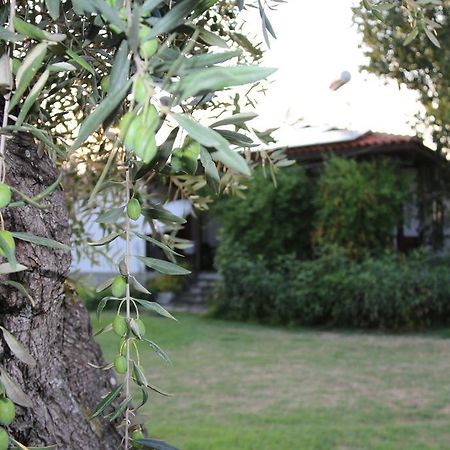 Ferienwohnung Patroudis House Skala Rachoni  Exterior foto
