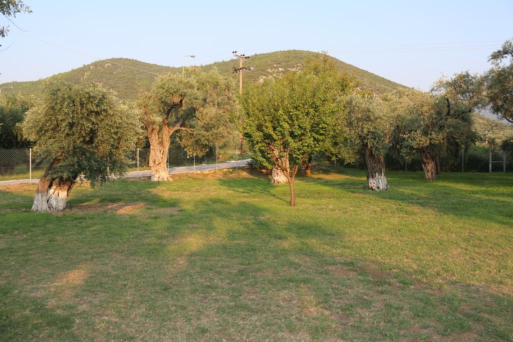 Ferienwohnung Patroudis House Skala Rachoni  Exterior foto