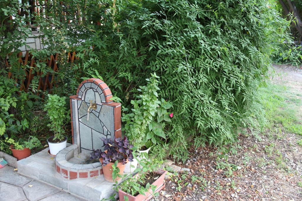 Ferienwohnung Patroudis House Skala Rachoni  Exterior foto