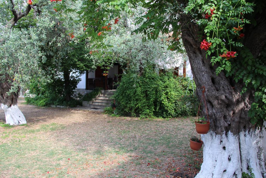 Ferienwohnung Patroudis House Skala Rachoni  Zimmer foto