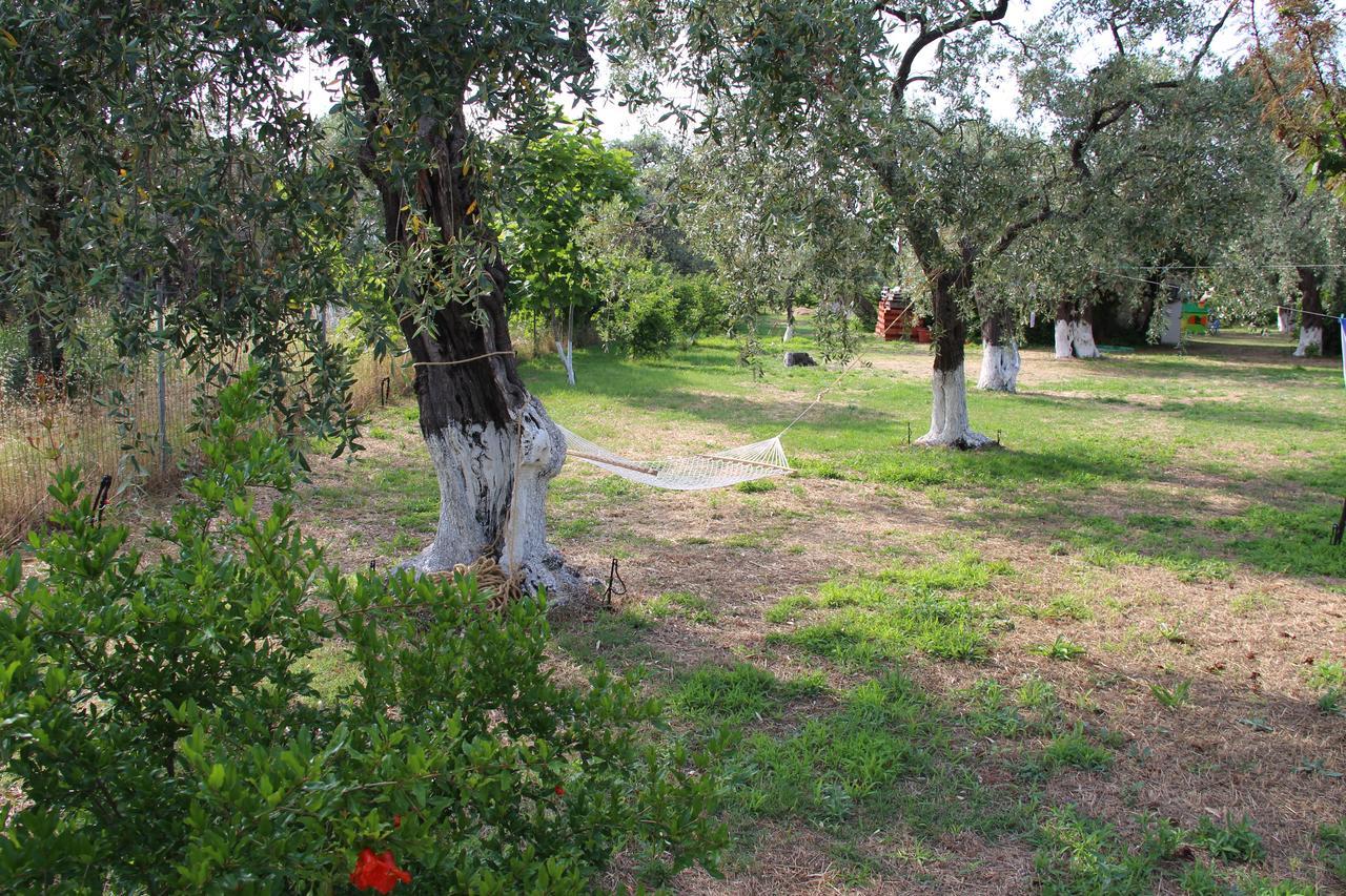 Ferienwohnung Patroudis House Skala Rachoni  Exterior foto